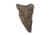 Banded Atchafalaya Face Mask - Bottomland, B03459