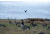 Banded Axe Combo Boat/Shore Blind - Regular, B08691