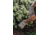 Barebones Kunar Utility Glove Clay XL