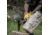 Barebones Woodsman Pulaski Axe, 24in Overall, 12in 1055HC Steel Axe Head w/ 3.75in Cutting Edge, Oiled Beech Wood Handle, HMS-2124