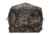 Barronett Blinds Blockout 5, Crater Core Camo BL550CC