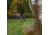 Barronett Blinds Ox 5 Hunting Blind, Crator Core Camo, 012642022319