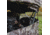 Barronett Blinds Ox 5 Hunting Blind, Crator Core Camo, 012642022319