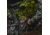Barronett Blinds Ox 5 Hunting Blind, Crator Core Camo, 012642022319