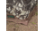 Barronett Blinds Ox 5 Hunting Blind, Crator Core Camo, 012642022319