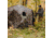 Barronett Blinds Pentagon Hunting Blind, Backwoods Camouflage PT550BW