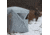 Barronett Blinds Radar Hub Hunting Blind, Crater Cold, 2-Person, RA200CS