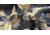 Barska 20-60x65 WP Level Spotting Scope Mossy Oak Break-Up Camo,Straight AD12358