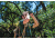 Barska Air View 10x42 WP Binoculars, Green AB12528