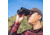 Barska Lucid View Compact 10x42mm Roof Prism Binoculars