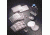 BD BioCoat Cellware, Collagen Type IV, BD Biosciences 354428 Multiwell Plates 6-Well