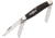 Bear &amp; Son Kodiak Stockman, spey and sheepsfoot Blade, desert iron Wood Handle BCK218E