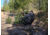 BenchMaster Rifle Rest Ground Hunting and Shooting Chair with Rifle Rest, Full 360 Rotation, BMGBHSC