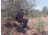 BenchMaster Rifle Rest Ground Hunting and Shooting Chair with Rifle Rest, Full 360 Rotation, BMGBHSC