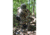 BenchMaster Rifle Rest Ground Hunting and Shooting Chair with Rifle Rest, Full 360 Rotation, BMGBHSC