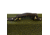 Beretta Hard Canvas Case for Standard Beretta Shotguns, SVPD204