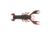 Berkley PowerBait MaxScent Lilft Trooper Soft Bait, 2 1/2in, 8 Pack, Hot Craw, 1520674