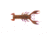 Berkley PowerBait MaxScent Lilft Trooper Soft Bait, 2 1/2in, 8 Pack, Peanut Butter and Jelly, 1520672