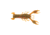 Berkley PowerBait MaxScent Lilft Trooper Soft Bait, 2 1/2in, 8 Pack, Watermelon Copper/Orange w/Red, 1520666