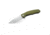 Bestech Knives Warwolf BG04C 3.5 in Plain Edge Folding Blade, Beige G10 Handle 4015844