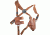Bianchi X16 Agent X Shoulder System (Unlined) - Plain Tan, Right Hand 17252