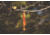 Muddy Reflective Marking Tape, Orange CR67-V
