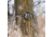 Black Gate R2K Trail Camera, Camo, One Size, BG2K0001