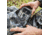 Black Gate R2K Trail Camera, Camo, One Size, BG2K0001