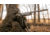 BOG Deadshot Aluminum Monopod