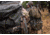 BOG Hunting 6000 ci Bivy Bags, 1159189