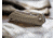 Boker Boker Plus Swoopy - 01BO693