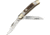 Boker Traditional Series 2.0 Copperhead Folding Knife, D2 Tool Steel, Mirror Clip/Skinner Blades, Stag Handle, 110823ST