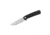 Fire Ant Black