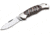 Boker Solingen Junior Scout Mammuth Folding Knife, 2.72in, N690, Mammoth Tooth, Nickel Silver Brown Handle, 111990
