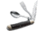 Boker Magnum Bon Appetite Folding Knife, 3.3in, 440A, Clip Point Plain Blade, Pakka Wood Handle, 01LL209