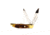 Boker USA Traditional Series Hunter Blade, Jigged Brown Bone Handle, 5.25 in. Closed BO02492