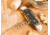 Boker Wine Multi-Tool, 2.36in, 4034 SS Blade, Oak Handle, Gift Boxed, 110185
