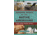 Books Natve American Survival Skills by Stephen Brennan, 978-1-63220-717-3