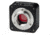 Bresser MikroCam SP 3.1 MP Camera 5914320