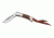 Browning 794 Lil Bit Stag Knife 322794
