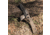 Browning Branded Rock Field 3in Assisted Opening Folding Knife, 7Cr17Mov, Wharncliffe, G10 Handle, N, 3220512