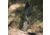 Browning Branded Rock Field Assisted Opening Folding Knife, 3in, 7Cr17Mov, Wharncliffe, G10 Handle, N, 3220514
