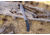 Browning Bush Craft Camp Fixed Blade Knife, 9in, 3Cr, Bowie, Injection Molded Handle, Black, 3220259