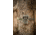 Browning Dark Ops Nano Dual Lens Trail Camera