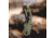 Browning Hidden Hollow Folding Knife, 3in, D2 High Carbon Steel, Drop Point, G10 Handle, N, 3220506
