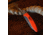 Browning Primal 2 Blade Folding Knife, 2.75in, HRC 50-55/HRC 55-59, Drop Point/Scalpel, Composite Handle, N, 3220462