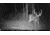Browning Trail Cameras Strike Force Hd Max, Camo, BTC-5HD-MAX