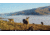 Browning Trail Cameras Strike Force Pro-X 1080 Trail Camera, BTC 5PX-1080