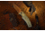 Browning Trailside Folding Knife - Box, 3.5in, D2 High Carbon Steel, Drop Point, Laminate Handle, N, 3220466B
