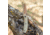 Browning Trailside Folding Knife, 3in, D2 High Carbon Steel, Drop Point, G10 Handle, N, 3220516